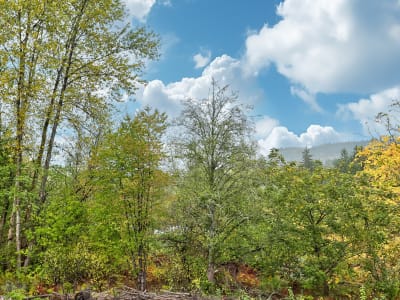Luxury estate at 11018 243B Street, Maple Ridge, BC — photo 34