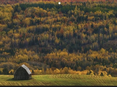 Luxury estate at 599 Chemin Notre Dame de Lourdes, Notre-Dame-de-Lourdes, NB — photo 27