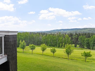 Luxury estate at 116 Hawks Landing Drive, Priddis, AB — photo 39