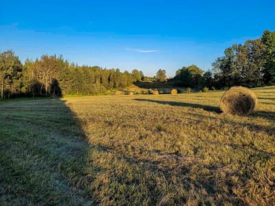 Luxury estate at 220 Route Mooney, Estrie, QC — photo 2
