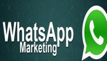 Dreamworth is one of the top whatsApp marketing service provider in Pune