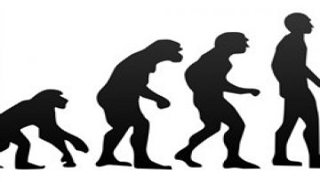 Darwin’s evolution theory versus SEO