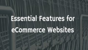one of the top Ecommerce website development company in pune