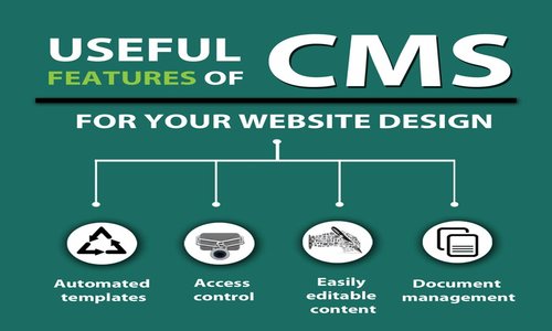 DreamWorth Solutions is the best CMS Company in Pune