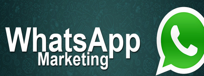 DreamWorth provides top whatsapp marketing services in pune