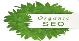 best seo service provider company