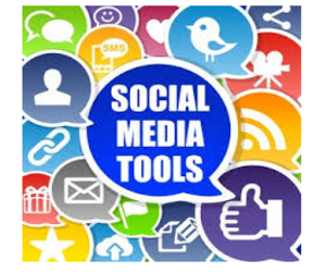 Be the part of SEO services in the market