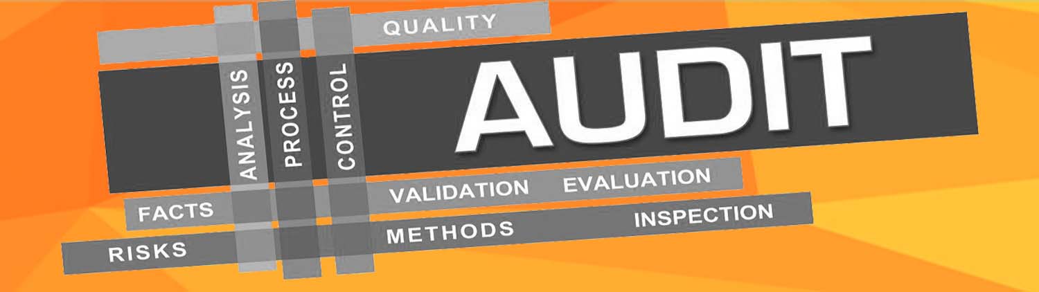 Request a Free Audit 1 free audit for seo