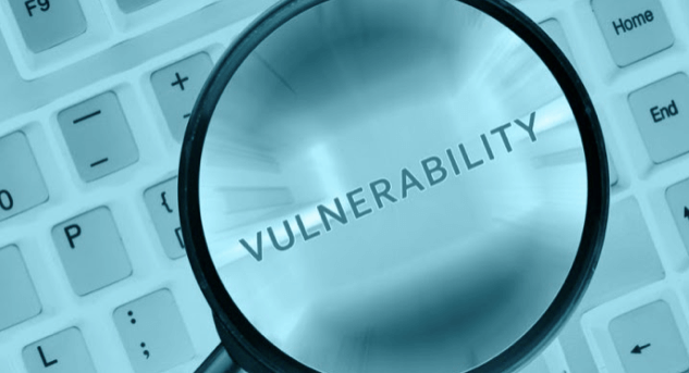 Vulnerability Assessment