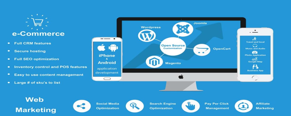 Case Study—An E-Commerce Startup Took Momentum With Revival Efforts 1 ecommerce online shop company banner