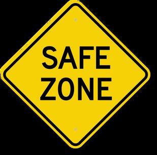 Domain Registration Company Pune 5 safe-zone