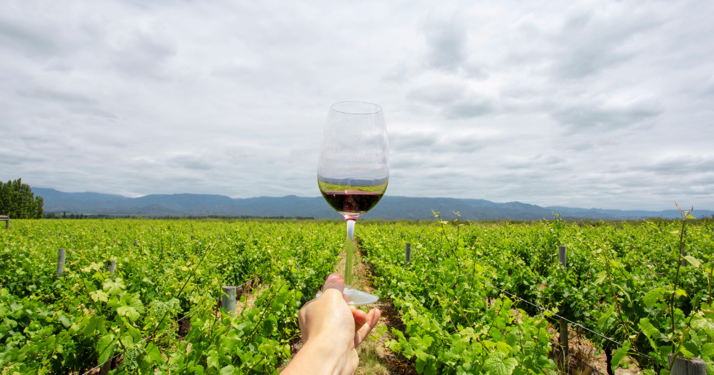 Caminos del vino