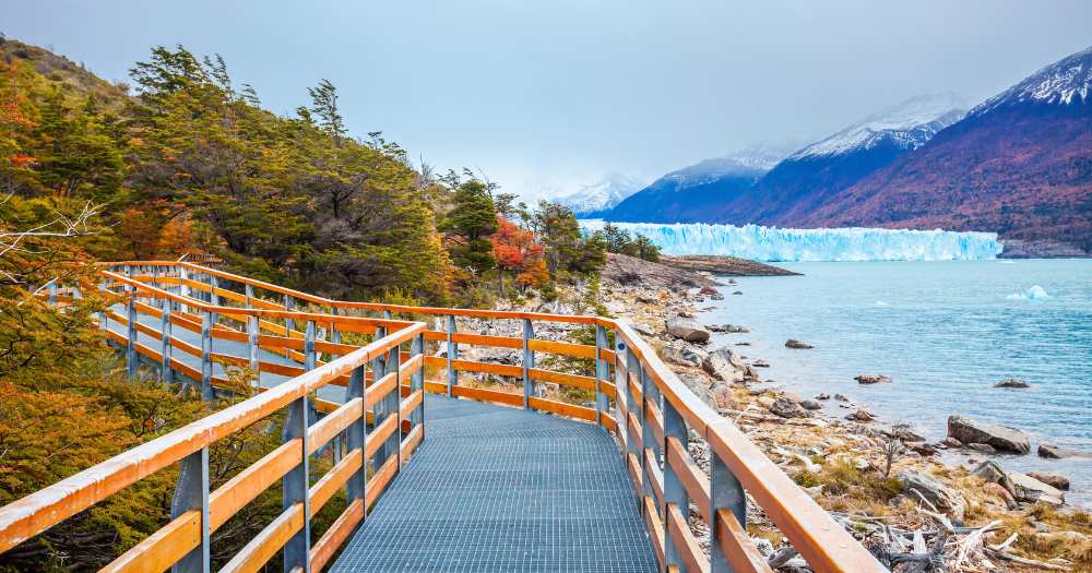 EL CALAFATE EN SEPTIEMBRE