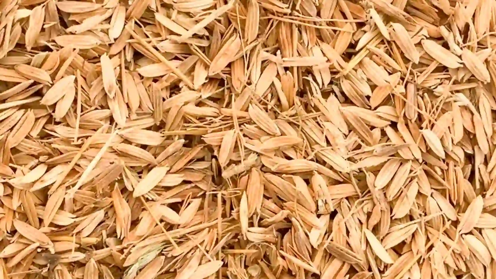Cascara de arroz