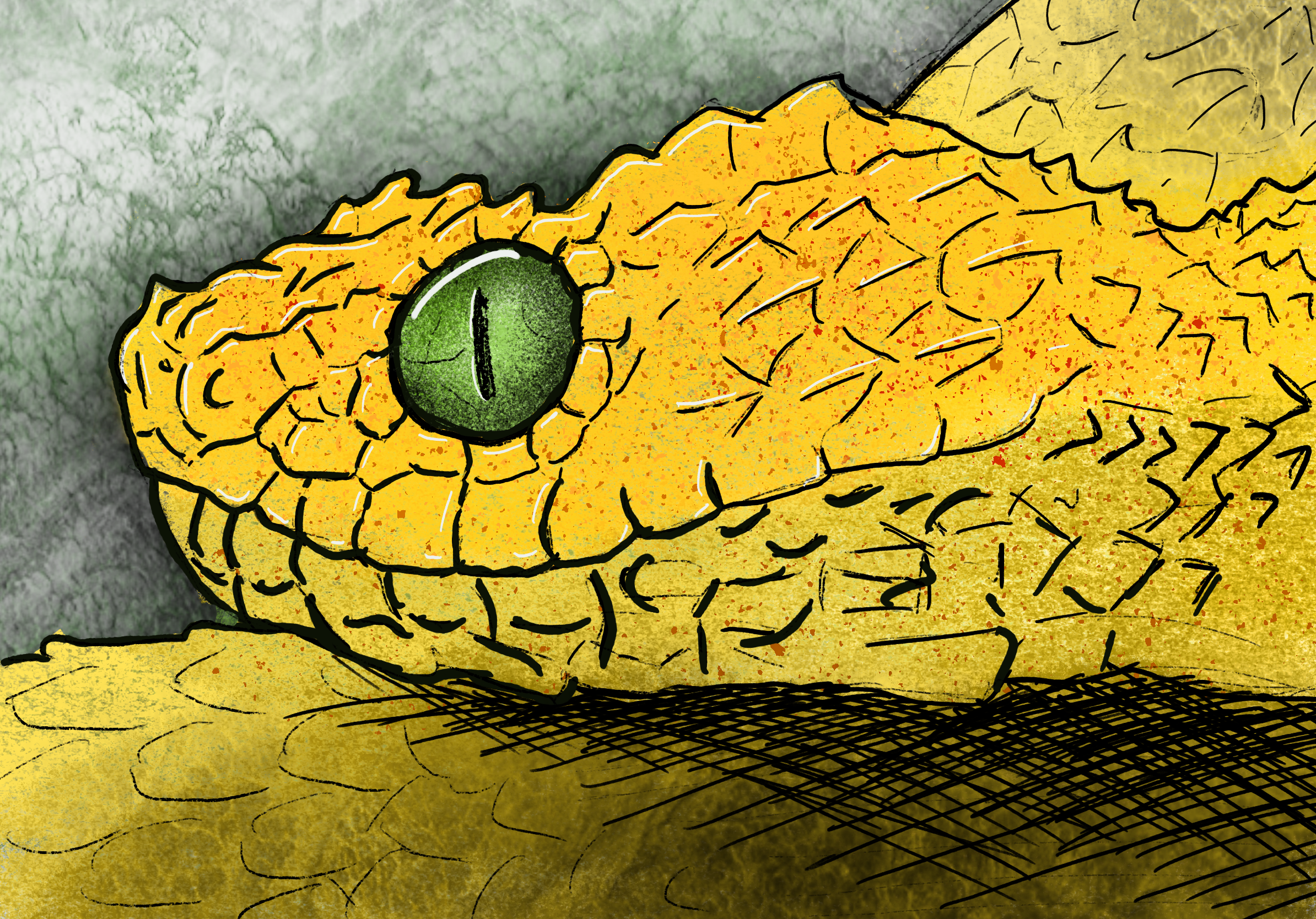 Artwork 3
