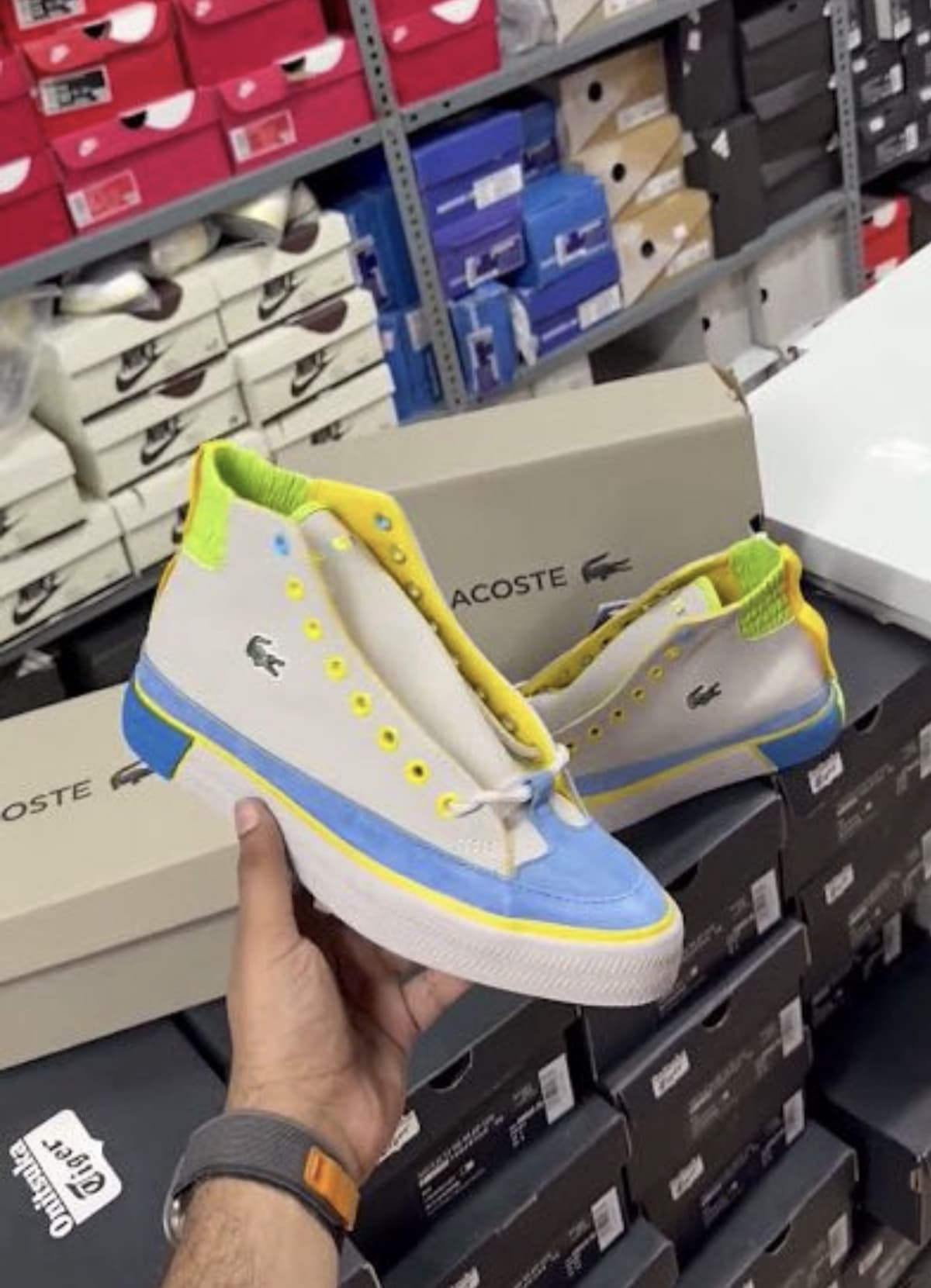 Lacoste Gripshot Mid Cut