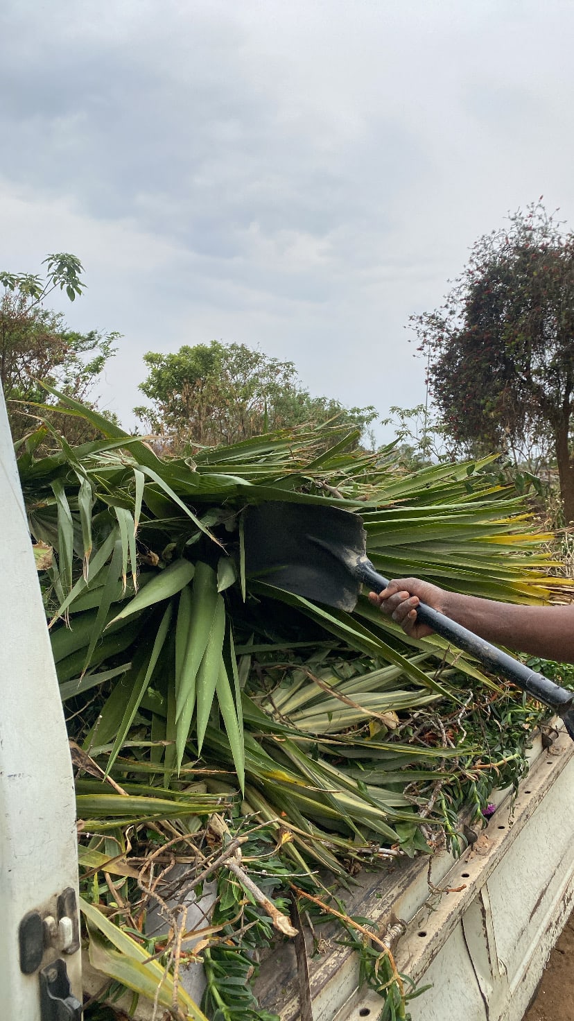 Garden Refuse Removal
