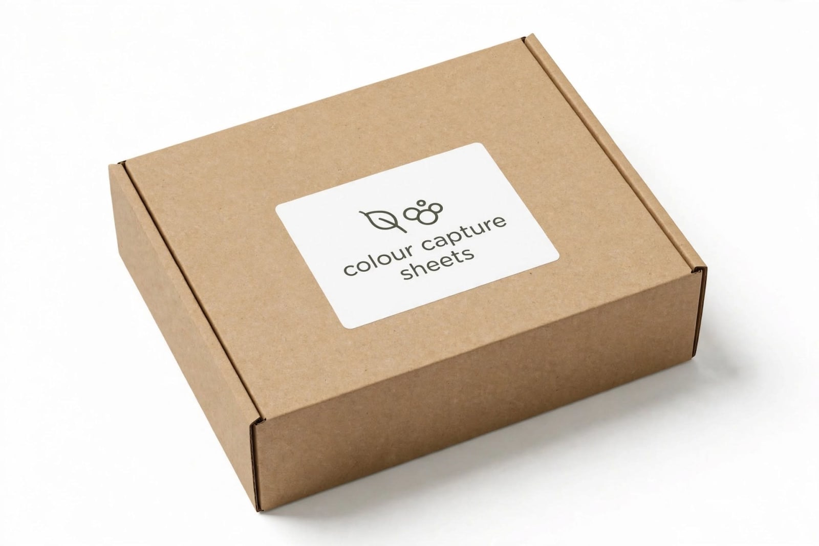 Colour Capture Sheets (1 Month Pack)