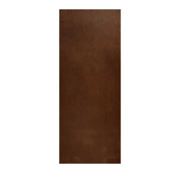 Masonite Door