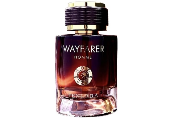 Wayfarer Homme