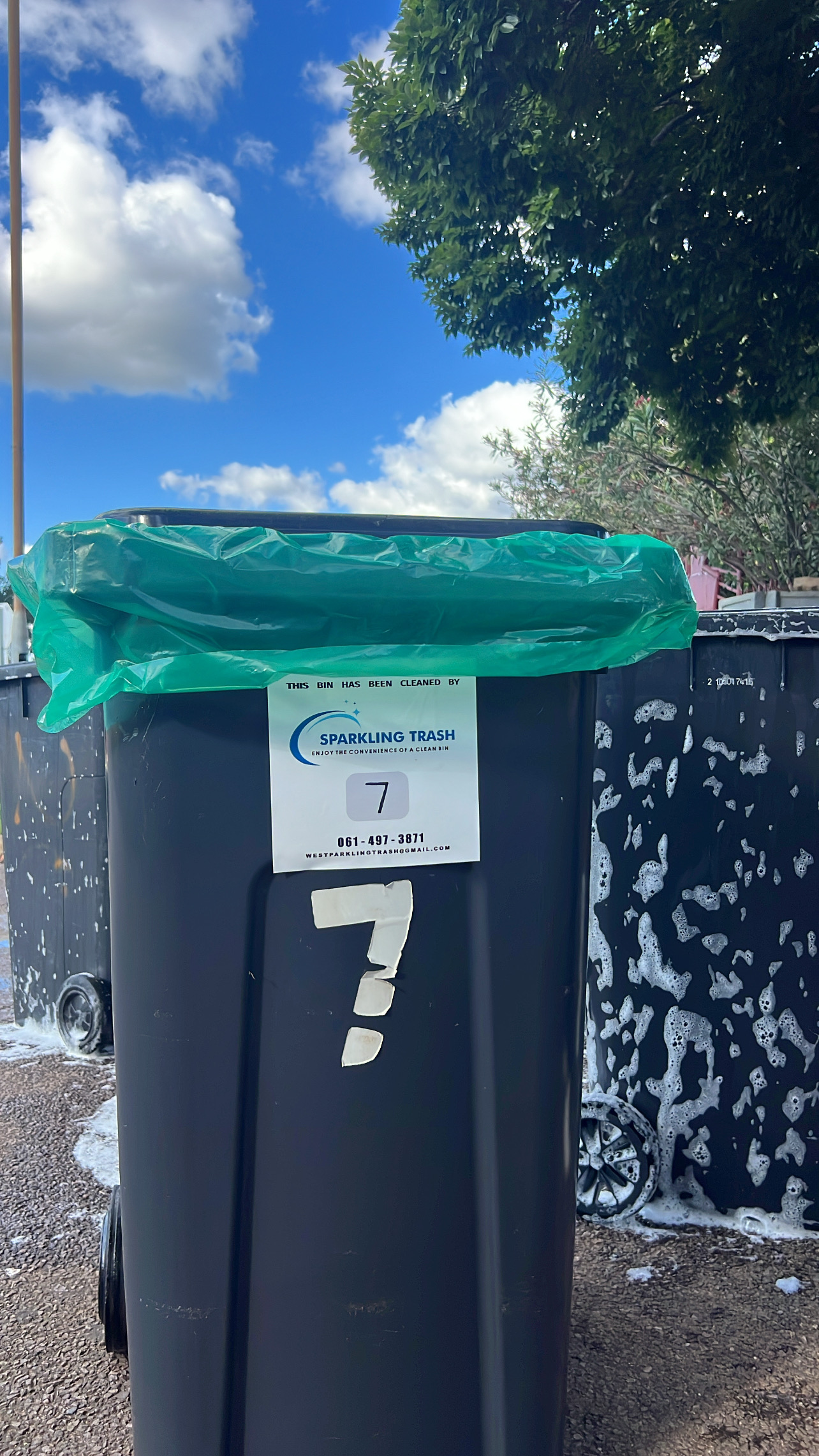 Refuse Bin Hygiene Service