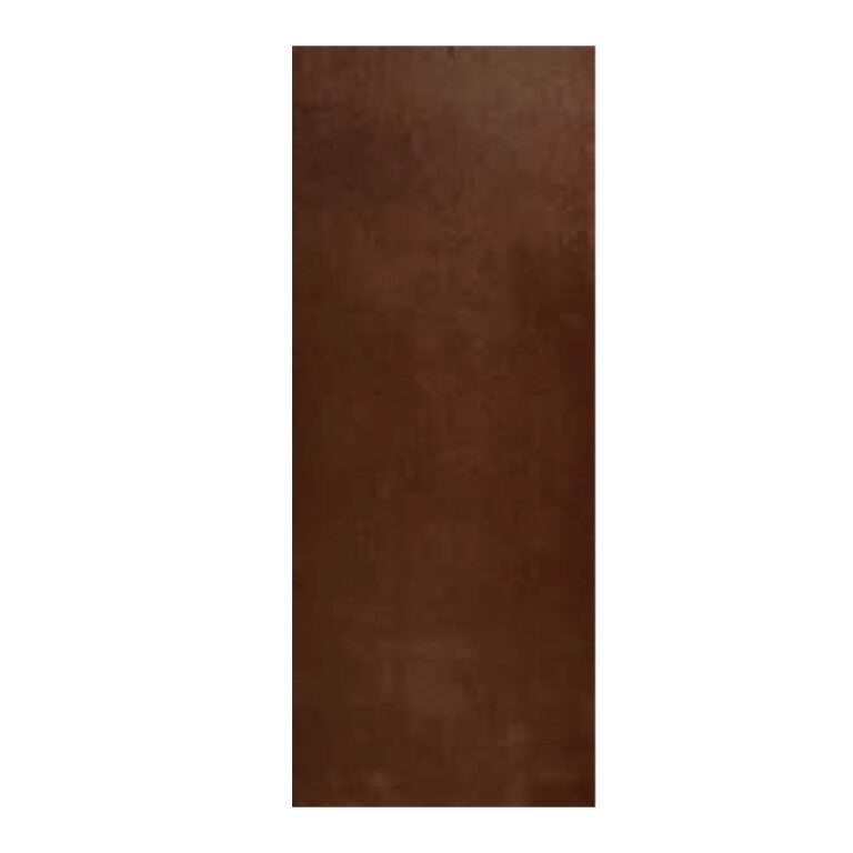 Masonite Door