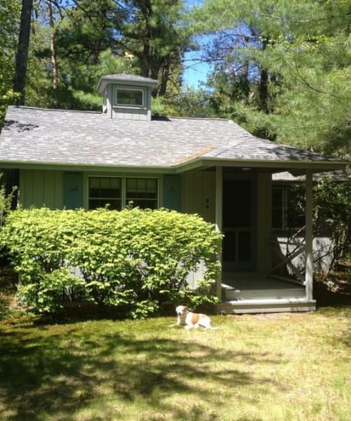 Property 521 — photo 2