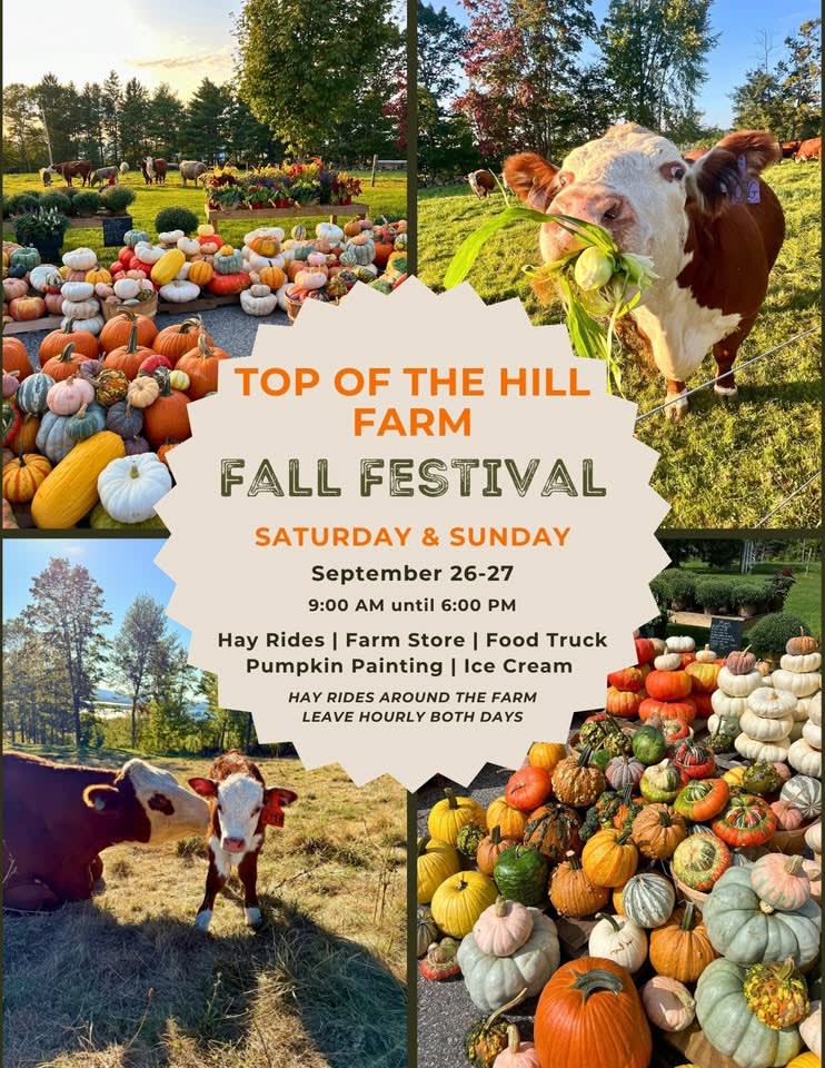Top of the Hill Farm Festival