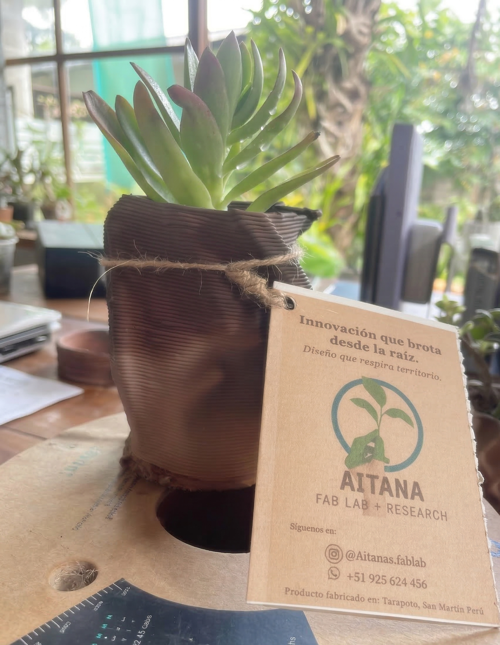 🌱