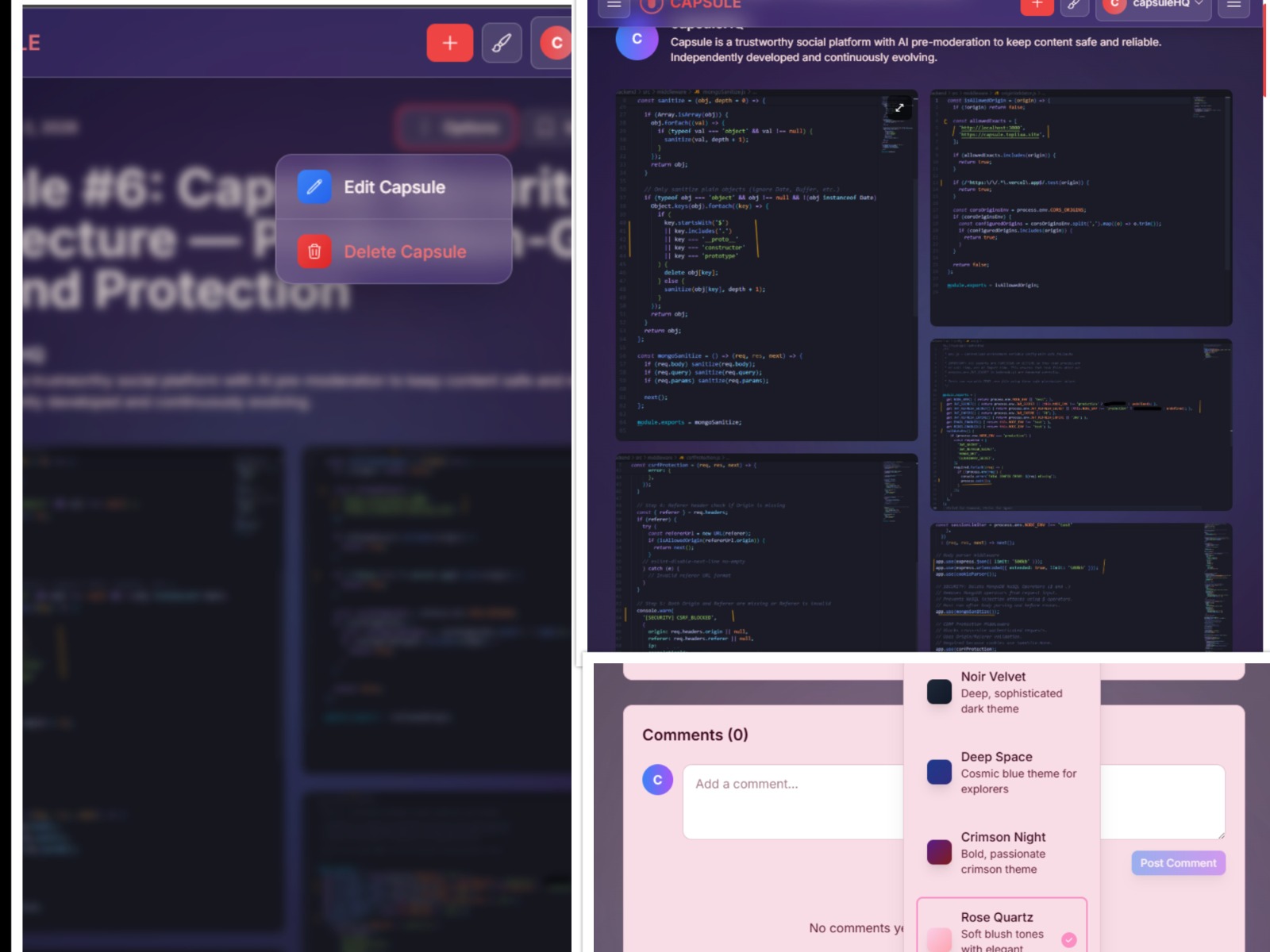 Capsule Architecture View 2