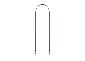 Apple Axelrem - grön