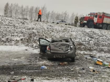 Водитель вылетевшей с трассы "Гранты" попала в больницу