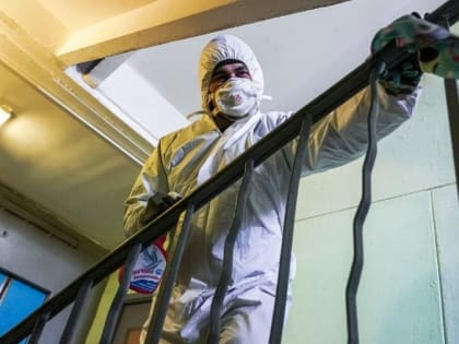 Число жалоб на дезинфекторов выросло в полтора раза