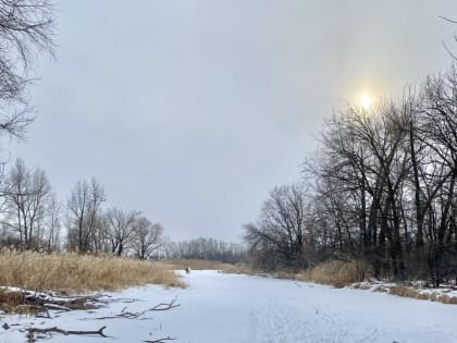 В Саратове холодно и ветренно