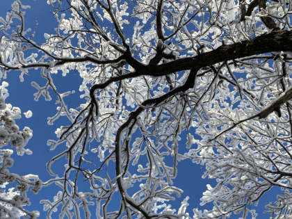 В Саратовской области температура на 9°C ниже климатической нормы
