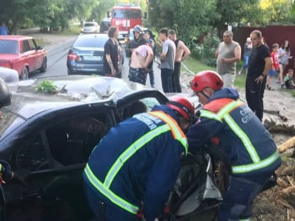 На Новоузенской водитель Hyundai врезался в дерево: четверо мужчин попали в больницу