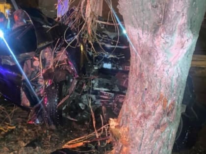 В Хвалынске мужчина на иномарке врезался в дерево и погиб