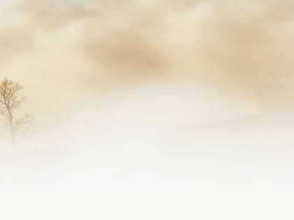 В Саратовской области неделя начнется с тумана