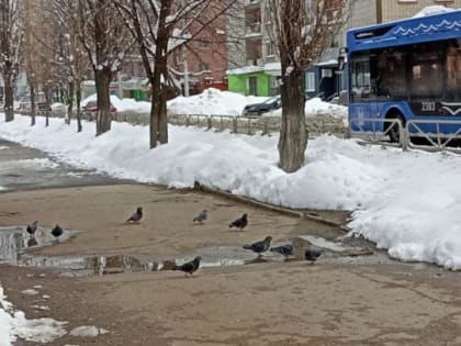 В Саратове снова похолодает