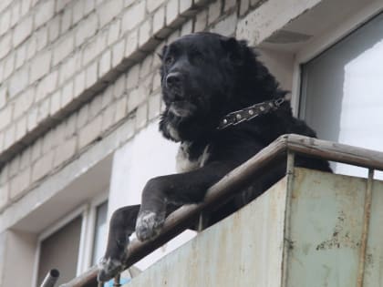 До +12°: саратовцев ждет пасмурная пятница