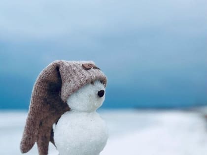 Саратовцам обещают солнечный день