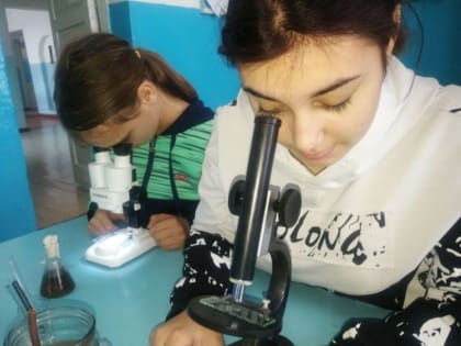 Выращивание инфузорий в Садовской школе