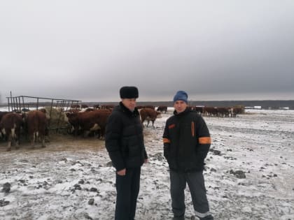 На контроле зимовка скота