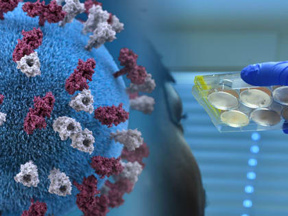 В области растет заболеваемость ковидом