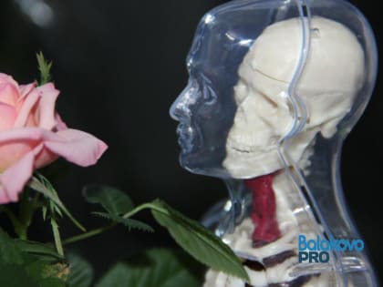 В Балаковском районе утвердили план мероприятий по снижению смертности до 2026 года