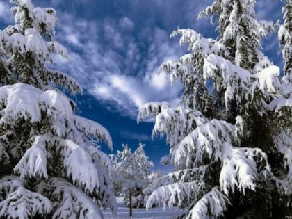 Оперативный прогноз погоды 26 февраля 2023 года