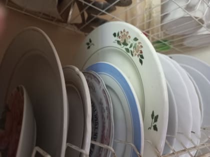 Минздрав посоветовал саратовцам стараться не есть летом мясо сырым