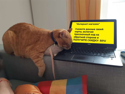 "Помощник населению" нажился на пенсионерке из Энгельса