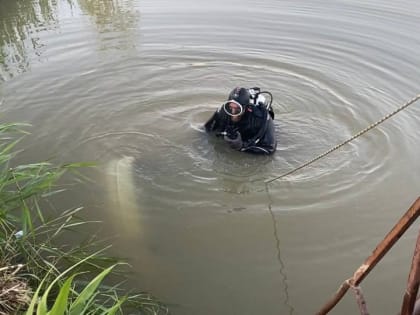В СНТ на окраине Саратова легковушка съехала в воду. Погибла женщина