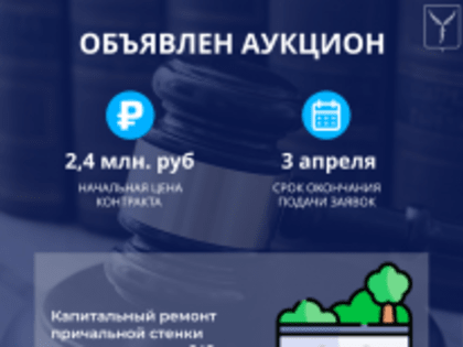 Объявлен аукцион